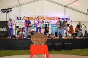 Ob 135. letnici PGD Gornji Grad si v društvu najbolj želijo nov gasilski dom 15